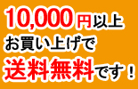 10,000円以上お買い上げで送料無料です！ 