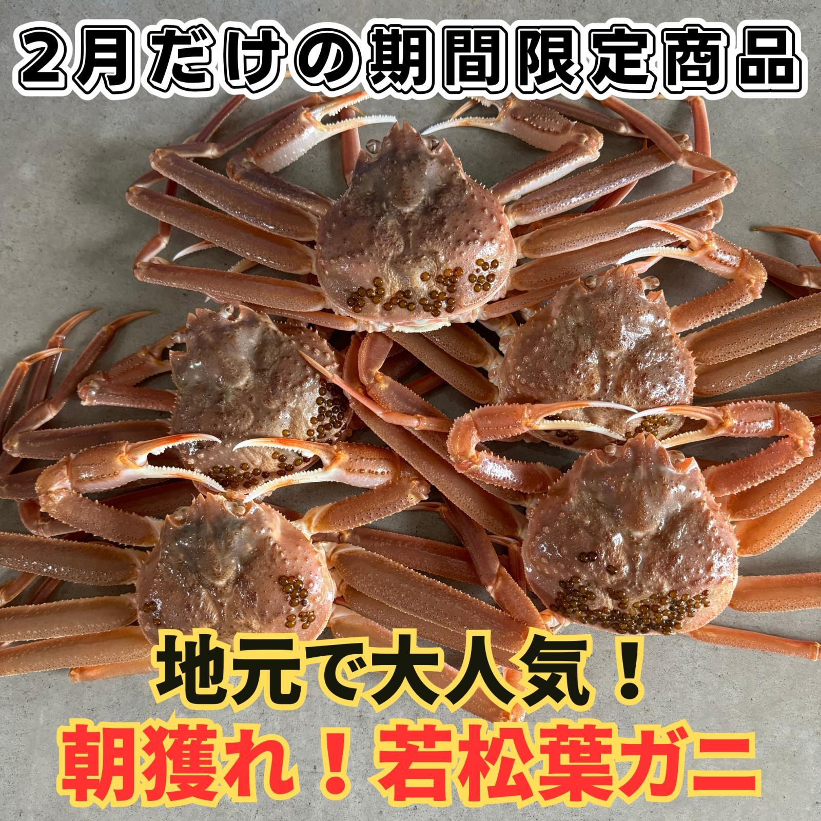 地元でも大人気！格安で楽しめる若松葉ガニ！