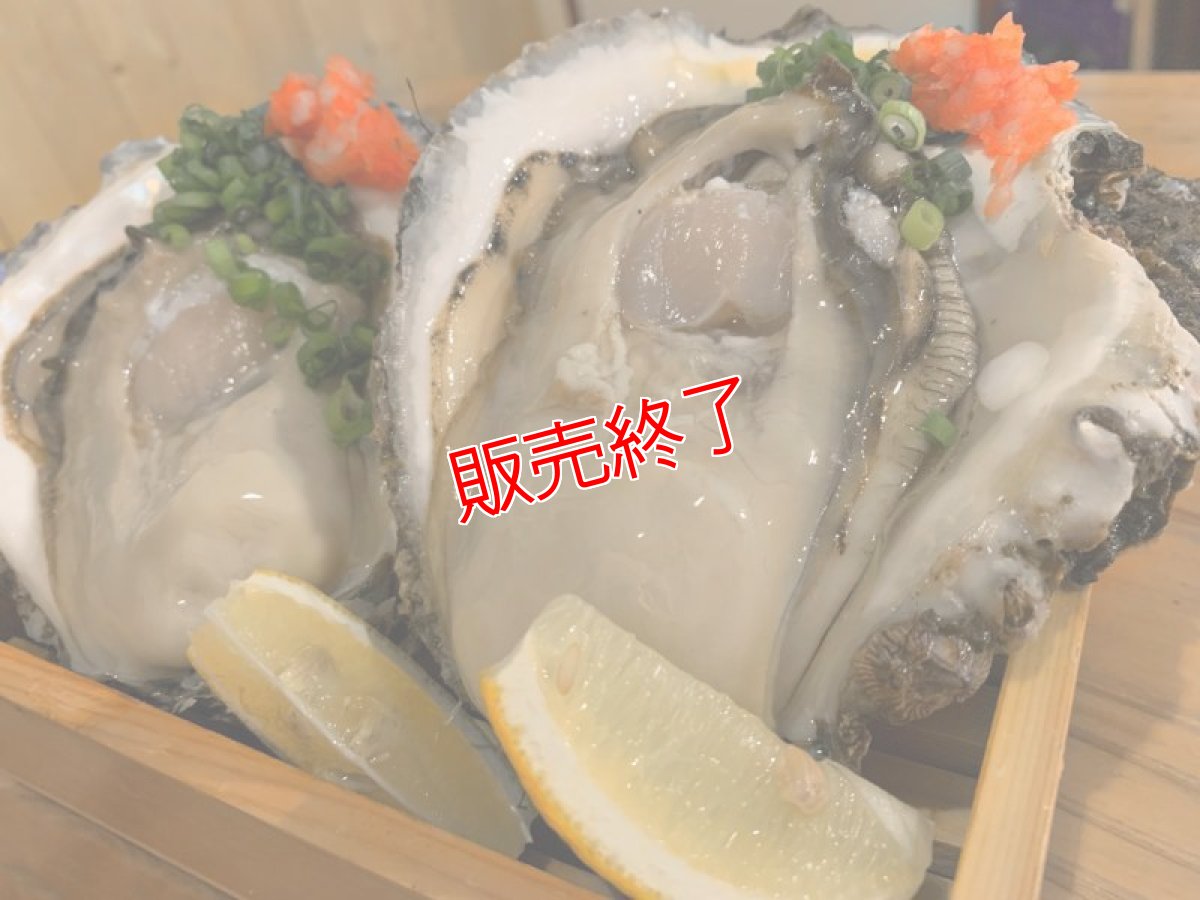 画像2: 夏限定！海のミルク『天然岩牡蠣』1kg以上【3-5個】 (2)