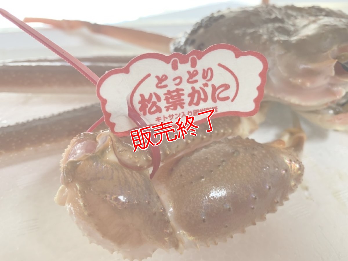 画像5: 超最高級松葉ガニ≪ブランドタグ付≫【超特大ジャンボ】1.0kg以上 (5)