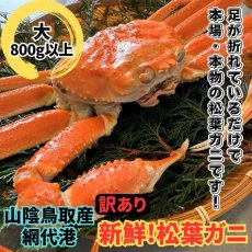 画像1: 訳あり！新鮮松葉ガニ【大】800ｇ以上 (1)