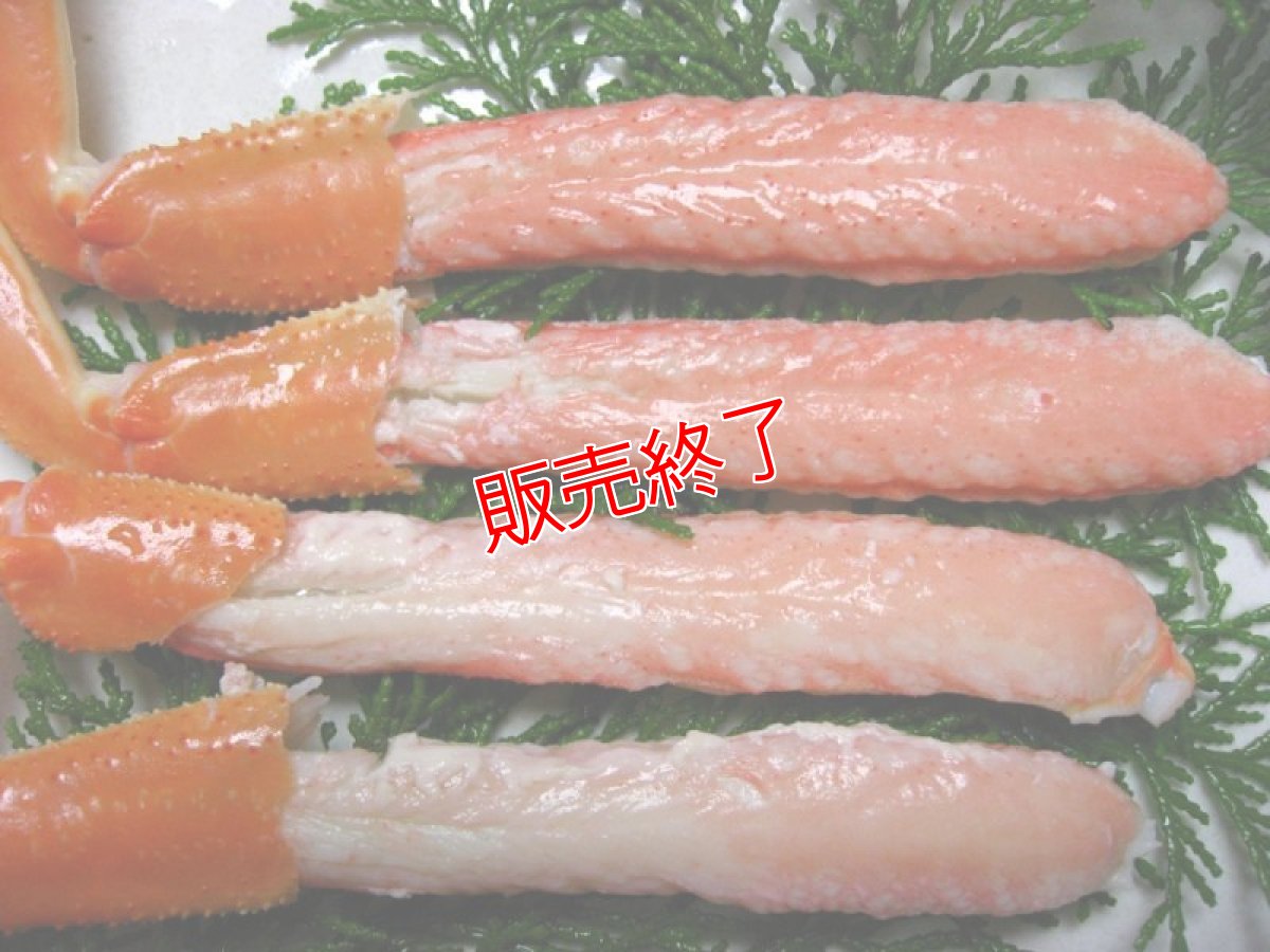 画像4: 訳あり！松葉ガニ・若松葉ガニセット【松葉ガニ(大・1枚)＆若松葉ガニ（中・3枚)】 (4)