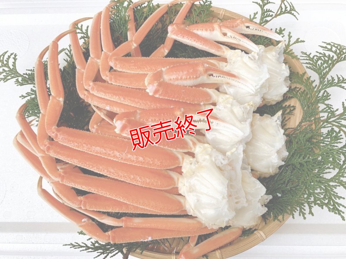 画像5: 訳あり！松葉ガニ・若松葉ガニセット【松葉ガニ(中・1枚)＆若松葉ガニ（中・3枚)】 (5)