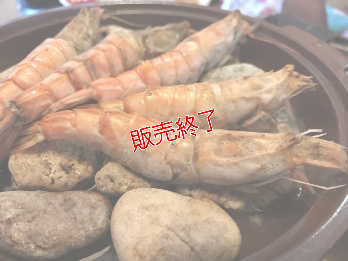 画像3: 朝獲れ！活モサエビ 500g (3)