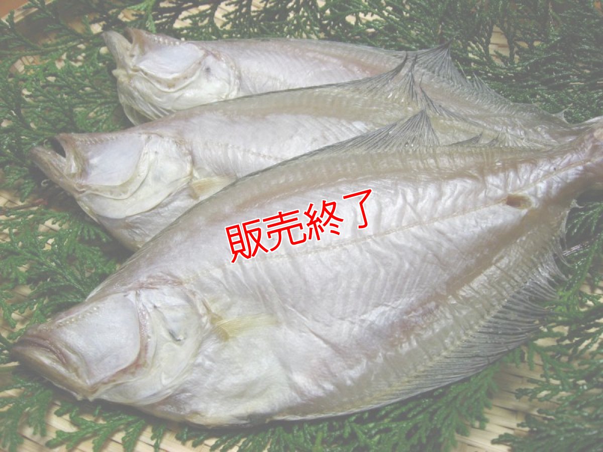 画像1: エテカレイの一夜干し【中小サイズ】6匹 (1)