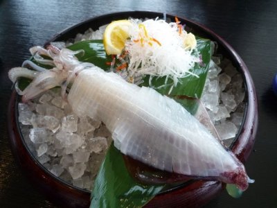 画像1: 朝獲れ！新鮮白イカ 2kg以上【4-10杯】