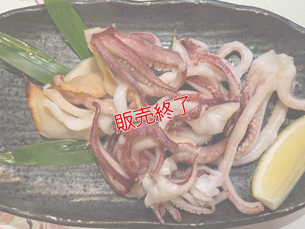 画像3: 朝獲れ！新鮮白イカ 1kg以上【2-5杯】 (3)