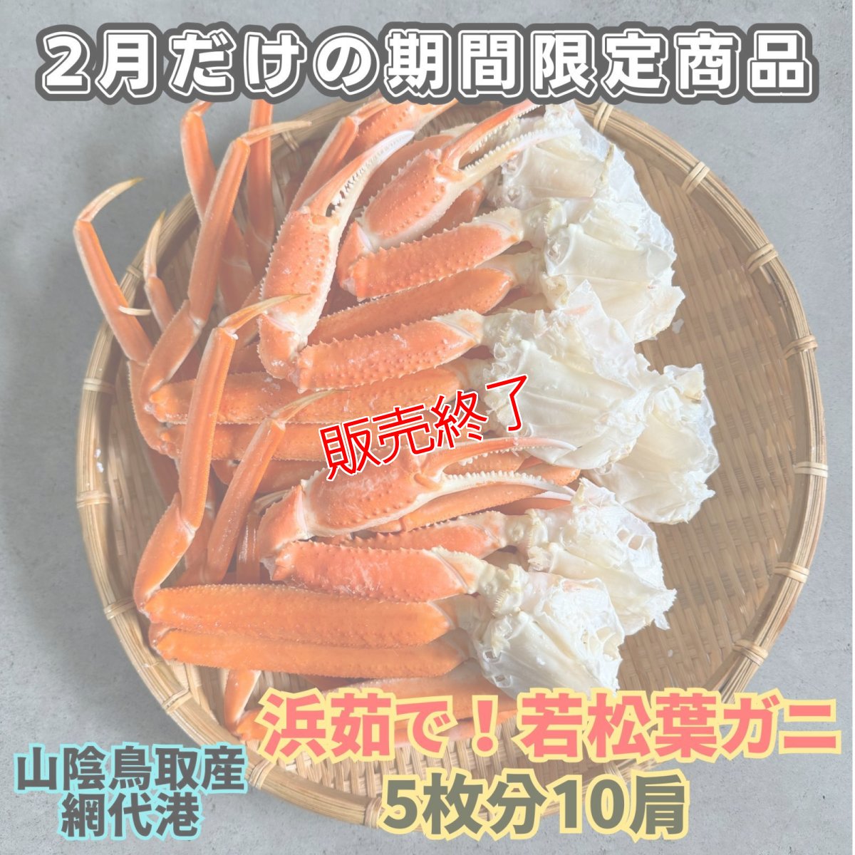画像1: 地元で大人気！浜茹で！若松葉ガニ【中・5枚10肩】 (1)