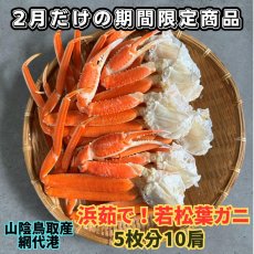 画像1: 地元で大人気！浜茹で！若松葉ガニ【中・5枚10肩】 (1)