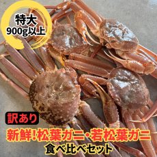画像1: 訳あり！松葉ガニ・若松葉ガニセット【松葉ガニ(特大・1枚)＆若松葉ガニ（中・3枚)】 (1)