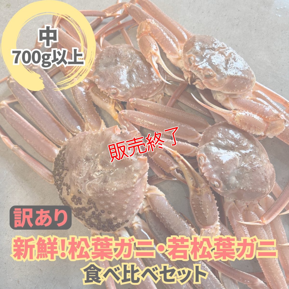 画像1: 訳あり！松葉ガニ・若松葉ガニセット【松葉ガニ(中・1枚)＆若松葉ガニ（中・3枚)】 (1)