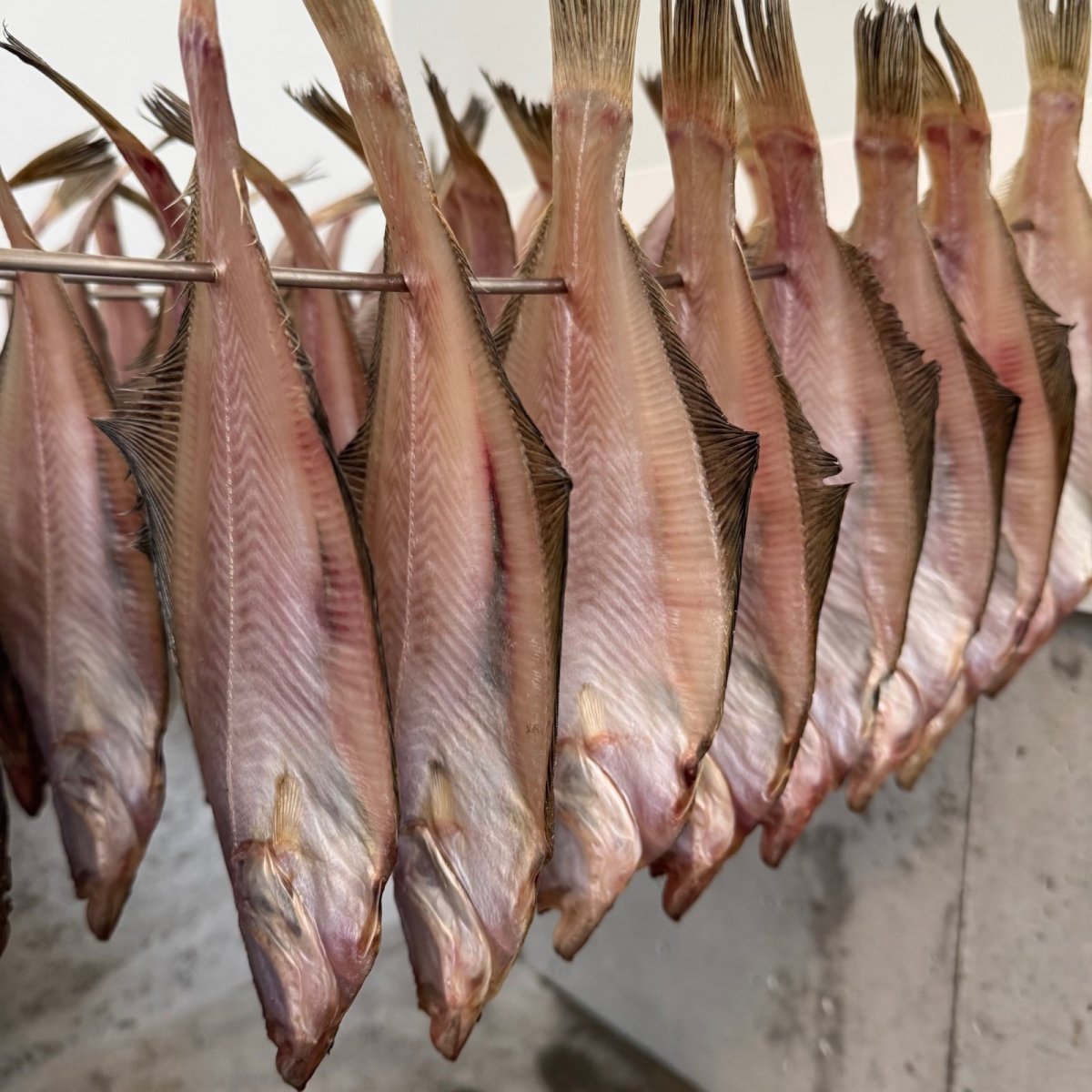 画像5: 自家製！エテカレイの一夜干し【中小サイズ】6匹 (5)