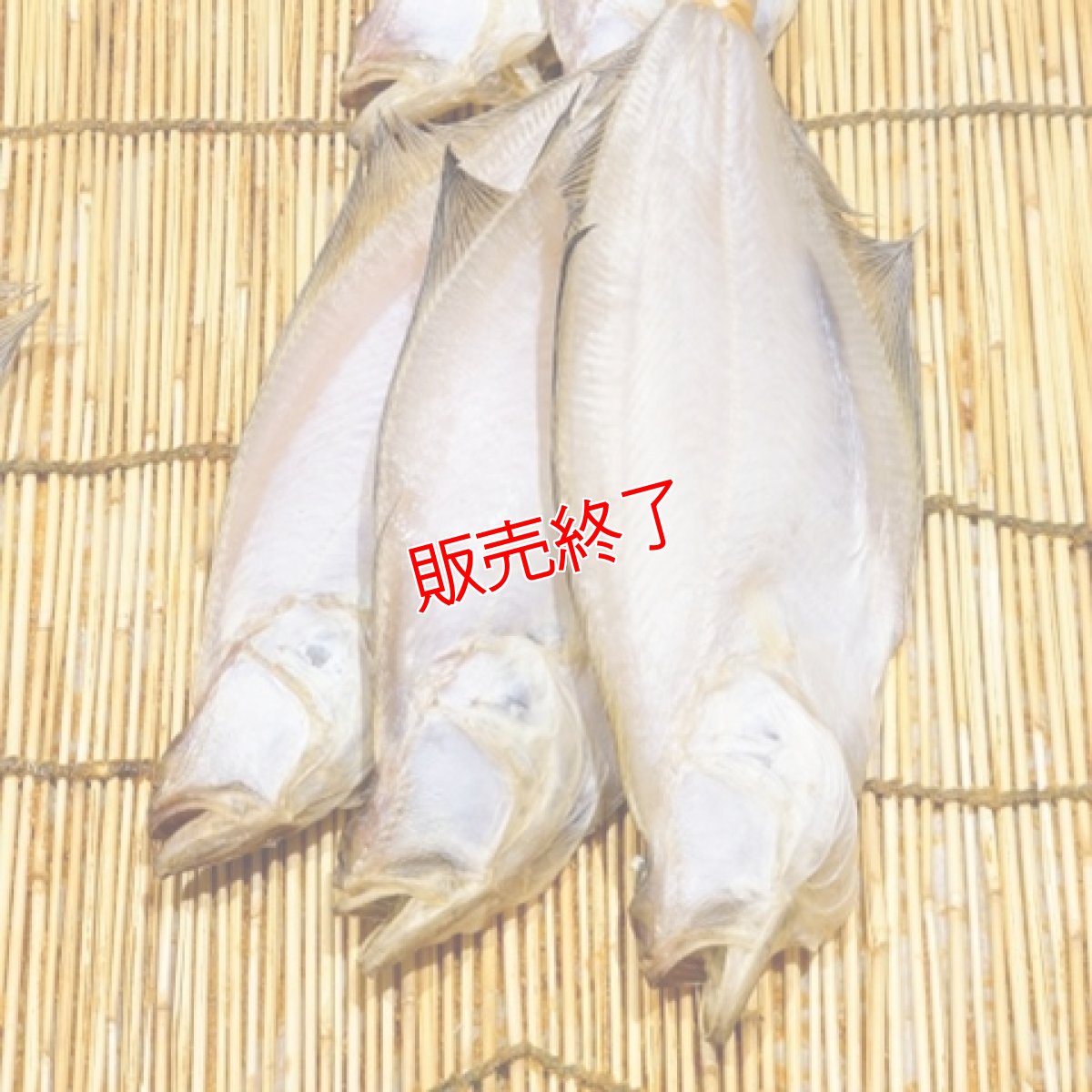 画像4: 自家製！エテカレイの一夜干し【中小サイズ】6匹 (4)