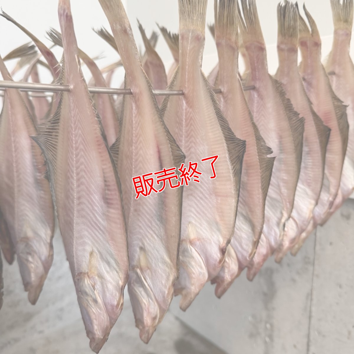 画像3: 自家製！赤カレイの一夜干し【中サイズ】5匹 (3)