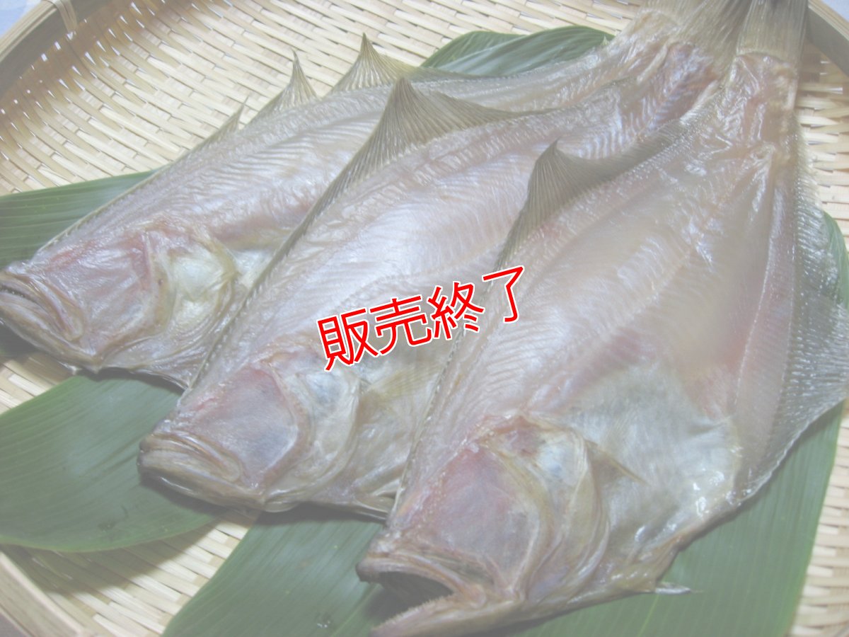 画像2: 自家製！赤カレイの一夜干し【中サイズ】5匹 (2)