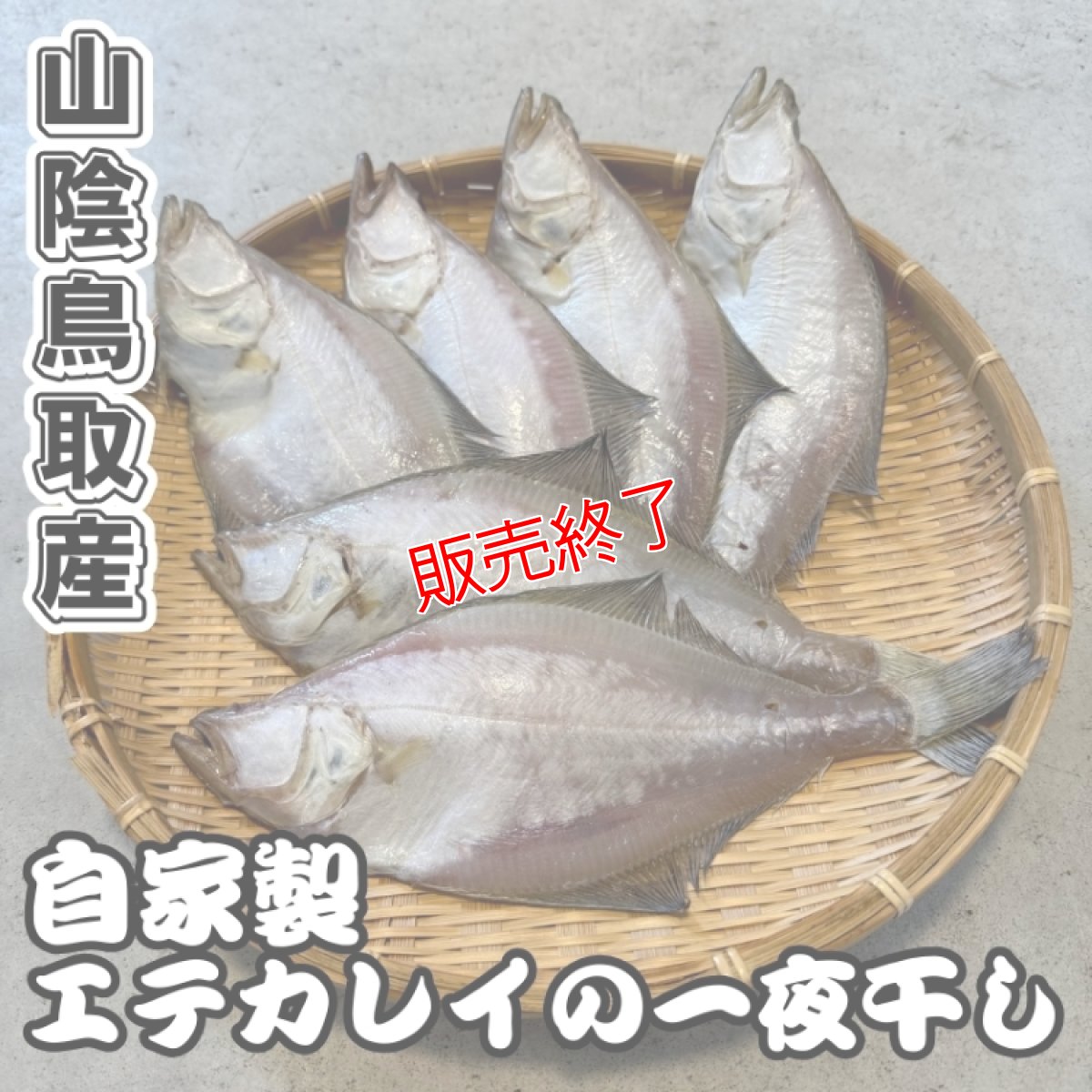 画像1: 自家製！エテカレイの一夜干し【中小サイズ】6匹 (1)