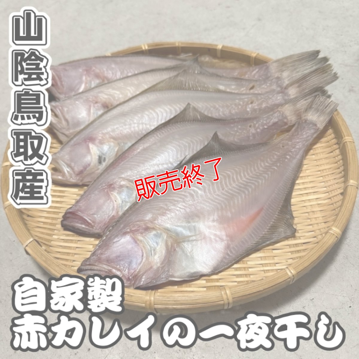 画像1: 自家製！赤カレイの一夜干し【中サイズ】5匹 (1)