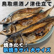 画像1: 焼きたて！浜焼きサバ【大サイズ】3匹 (1)