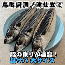 画像1: 脂の乗りが最高！塩サバ【大サイズ】3匹 (1)