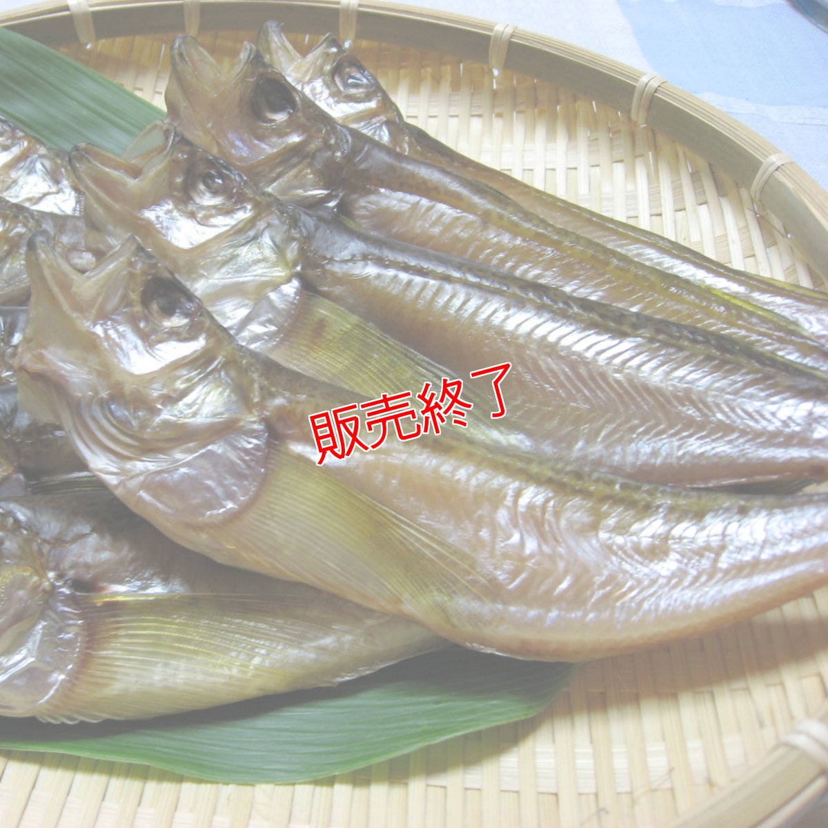 画像4: 自家製！ハタハタの一夜干し【大サイズ】10匹 (4)