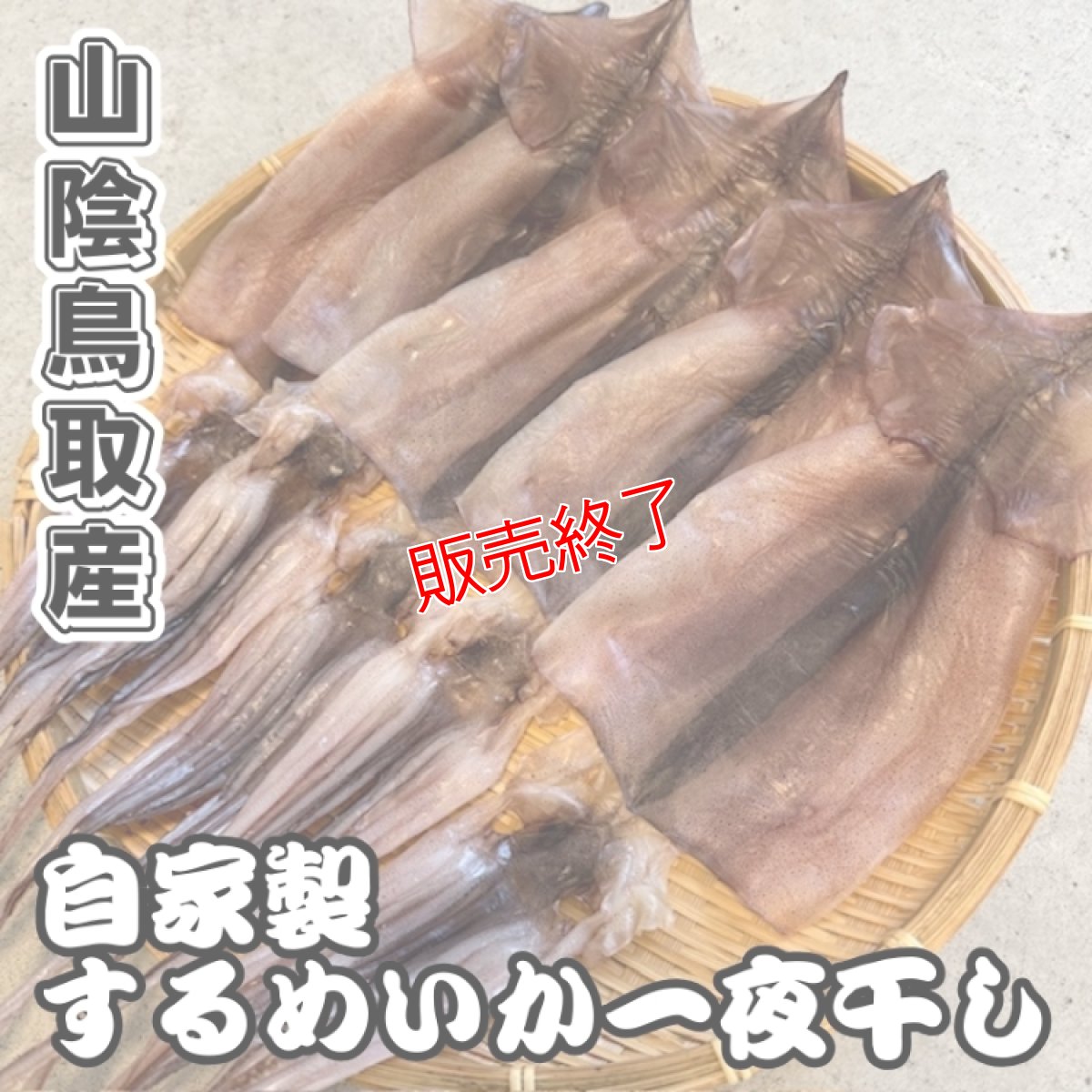 画像1: 自家製！するめいか一夜干し 【中サイズ】 5枚入り (1)