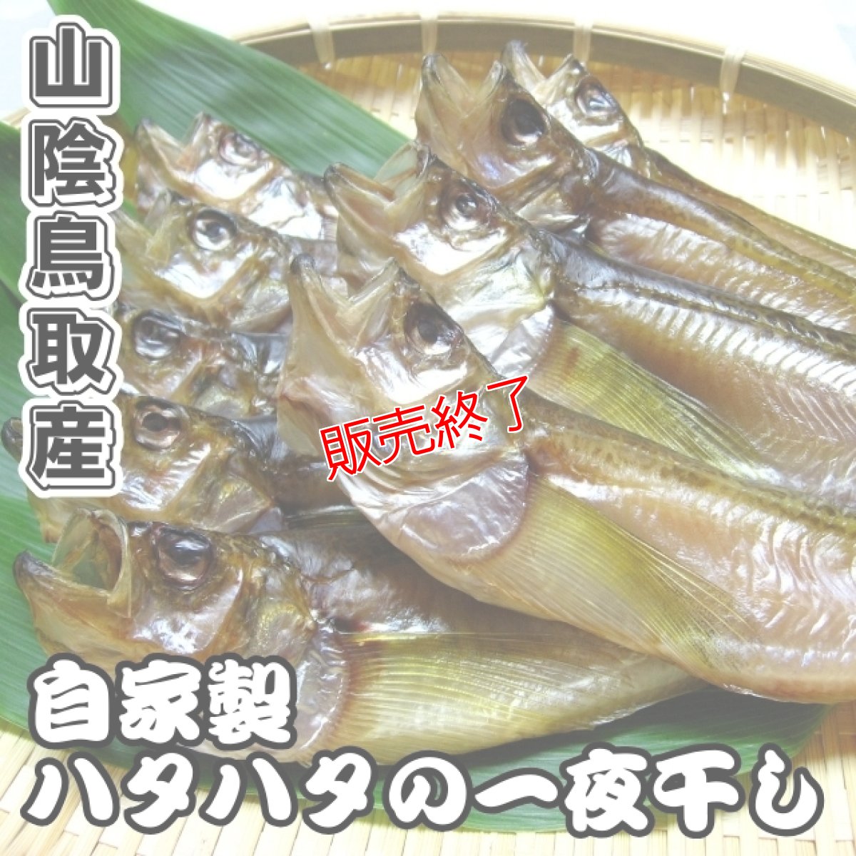 画像1: 自家製！ハタハタの一夜干し【大サイズ】10匹 (1)