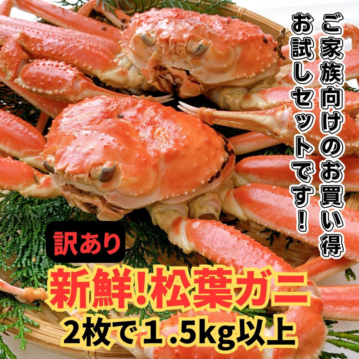 画像1: 数量限定特価！◆訳あり◆松葉ガニ1.5kgセット【2枚】 (1)