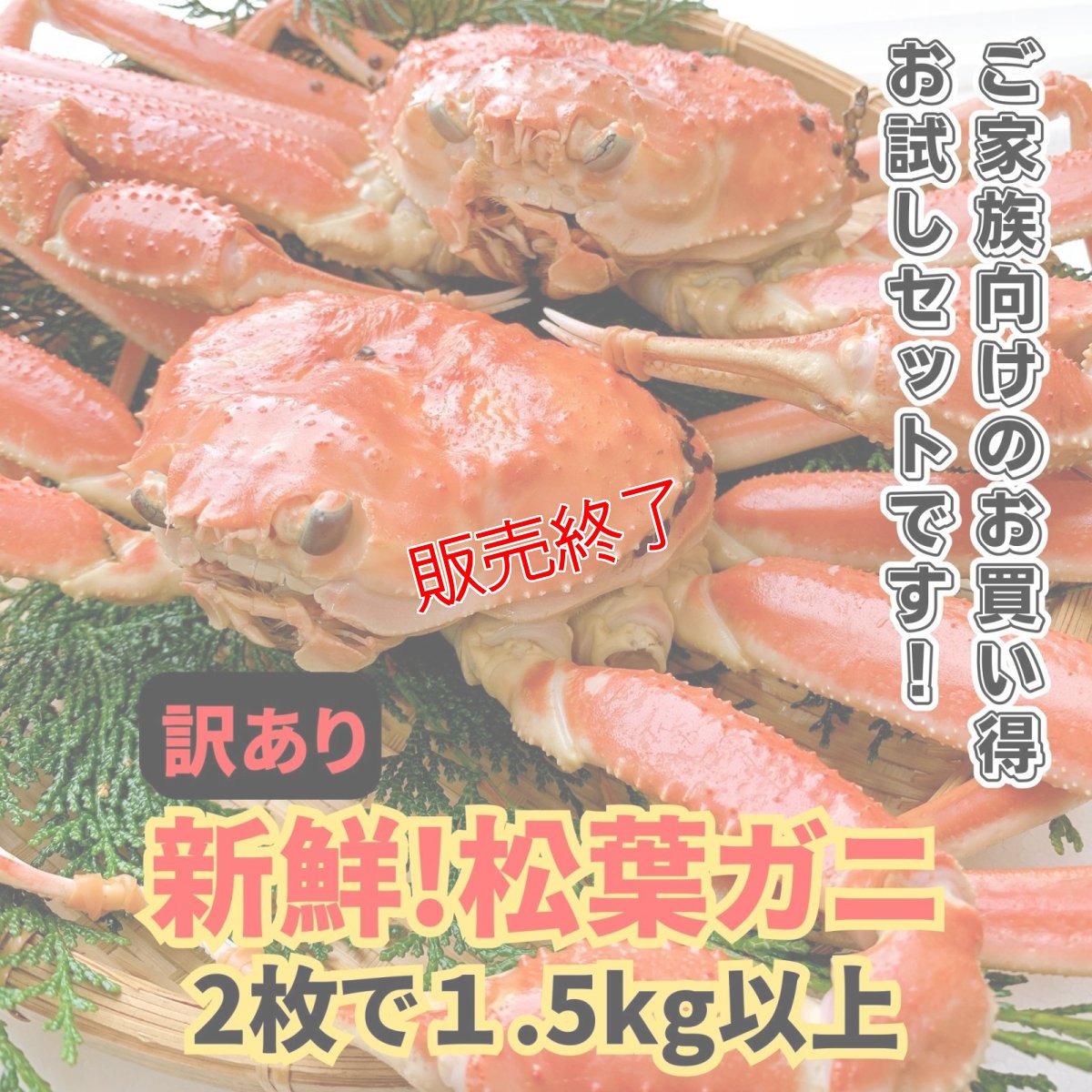画像1: 数量限定特価！◆訳あり◆松葉ガニ1.5kgセット【2枚】 (1)
