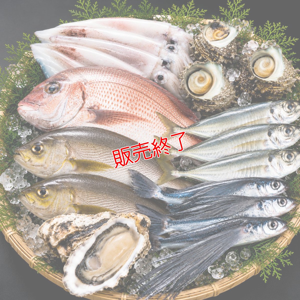 画像2: 朝獲れ直送！旬の天然魚セット(3〜5種類) (2)
