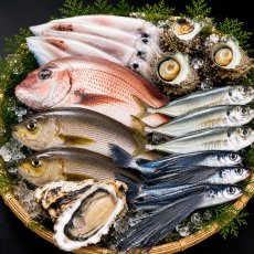 画像2: 朝獲れ直送！旬の天然魚セット(3〜5種類) (2)