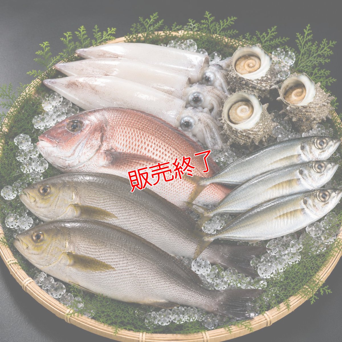 画像2: 朝獲れ直送！旬の天然魚セット(2〜3種類) (2)