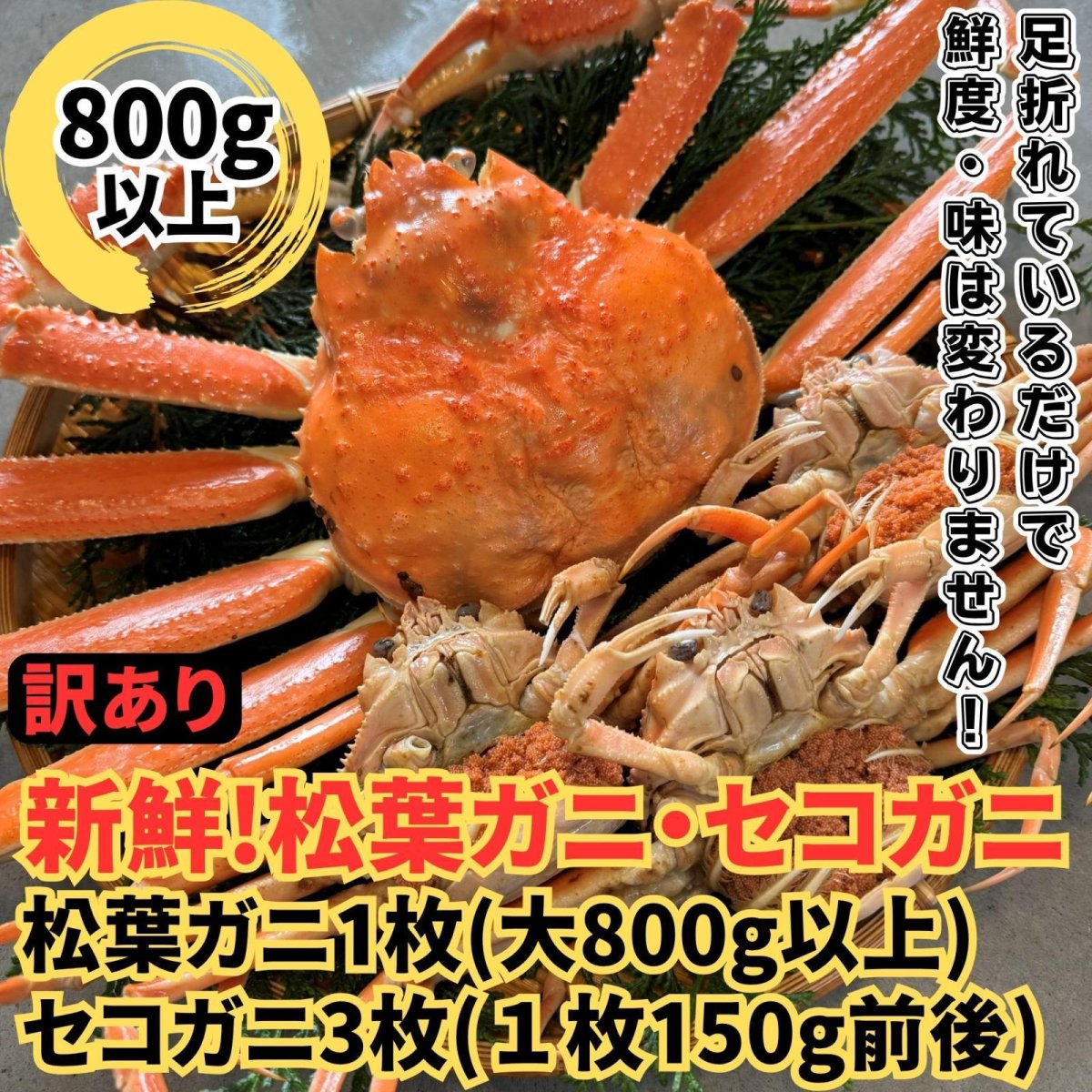 画像1: 訳あり！松葉ガニ・セコガニ夫婦セット【松葉ガニ(大・1枚)＆セコガニ(中・3枚)】 (1)