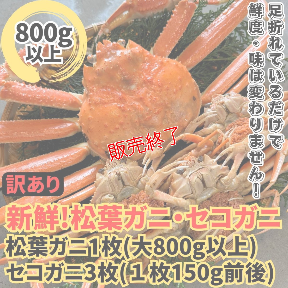 画像1: 訳あり！松葉ガニ・セコガニ夫婦セット【松葉ガニ(大・1枚)＆セコガニ(中・3枚)】 (1)