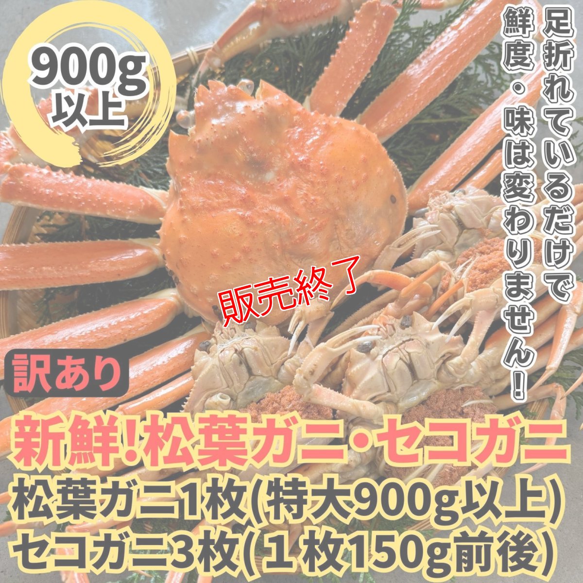 画像1: 訳あり！松葉ガニ・セコガニ夫婦セット【松葉ガニ(特大・1枚)＆セコガニ(中・3枚)】 (1)