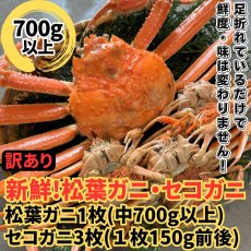 画像1: 訳あり！松葉ガニ・セコガニ夫婦セット【松葉ガニ(中・1枚)＆セコガニ(中・3枚)】 (1)