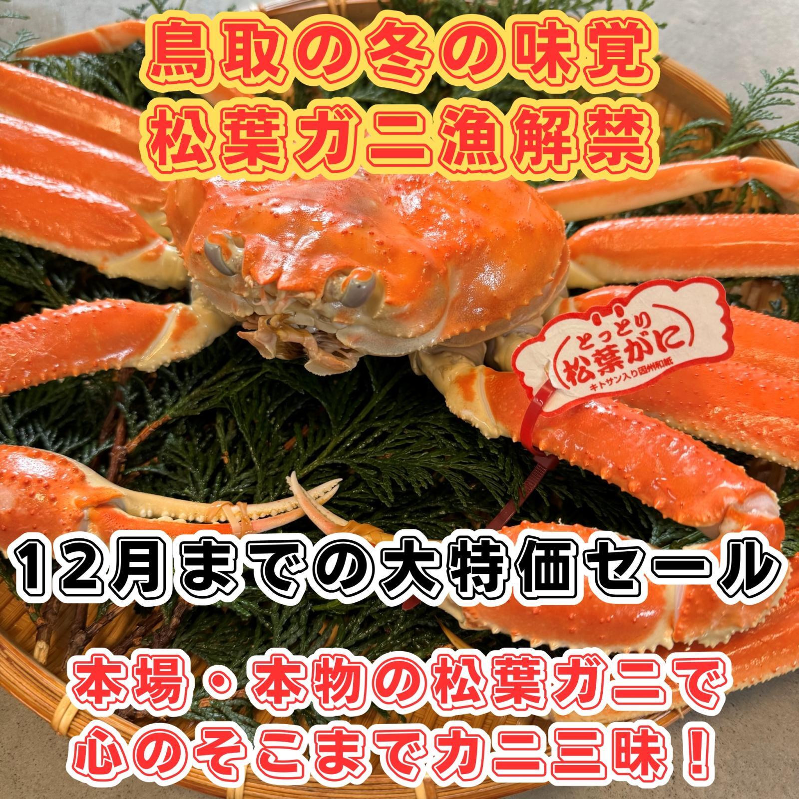 12月までの大特価セール！