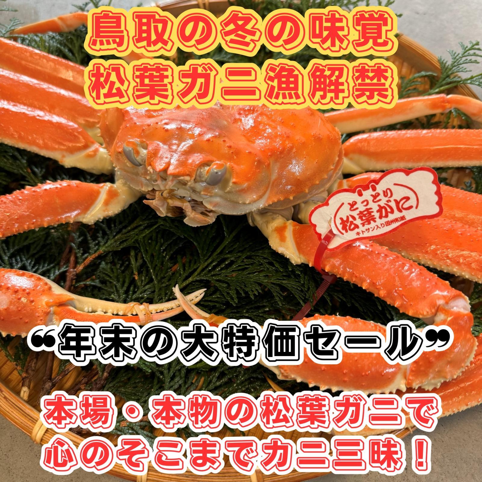 年末の大特価セール！