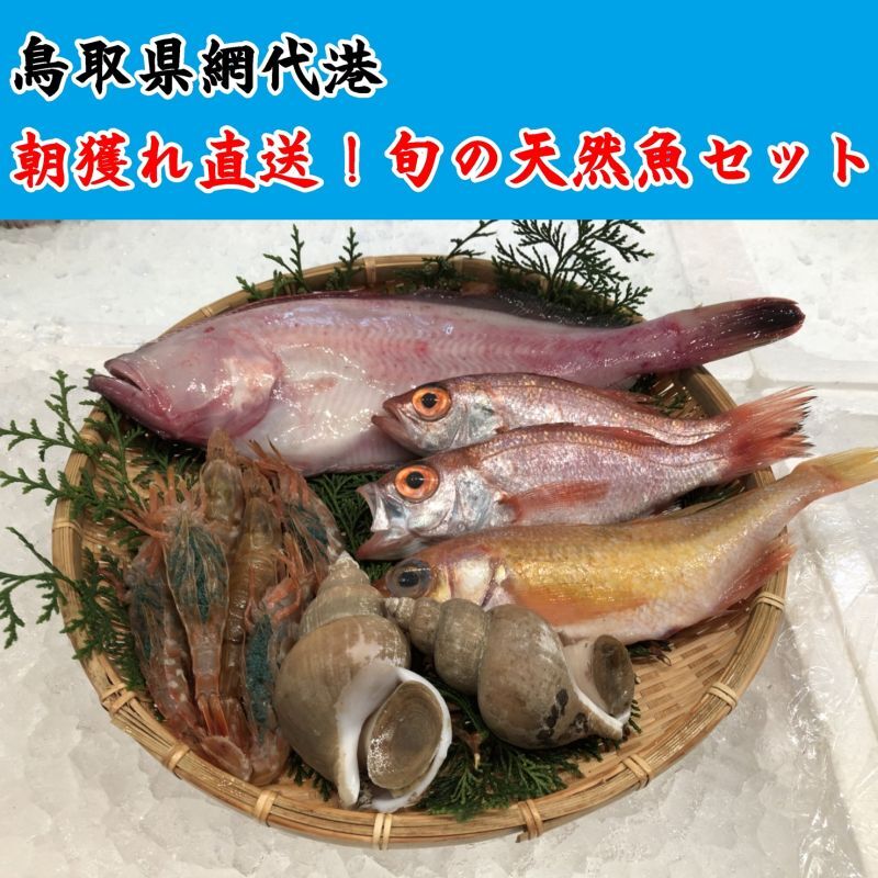 朝獲れ直送！旬の天然魚セット【2人さま】