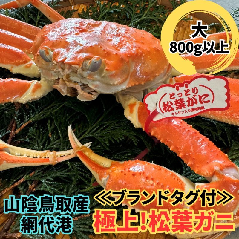 ご贈答用におすすめ最高級松葉ガニ≪ブランドタグ付≫【大】800ｇ以上