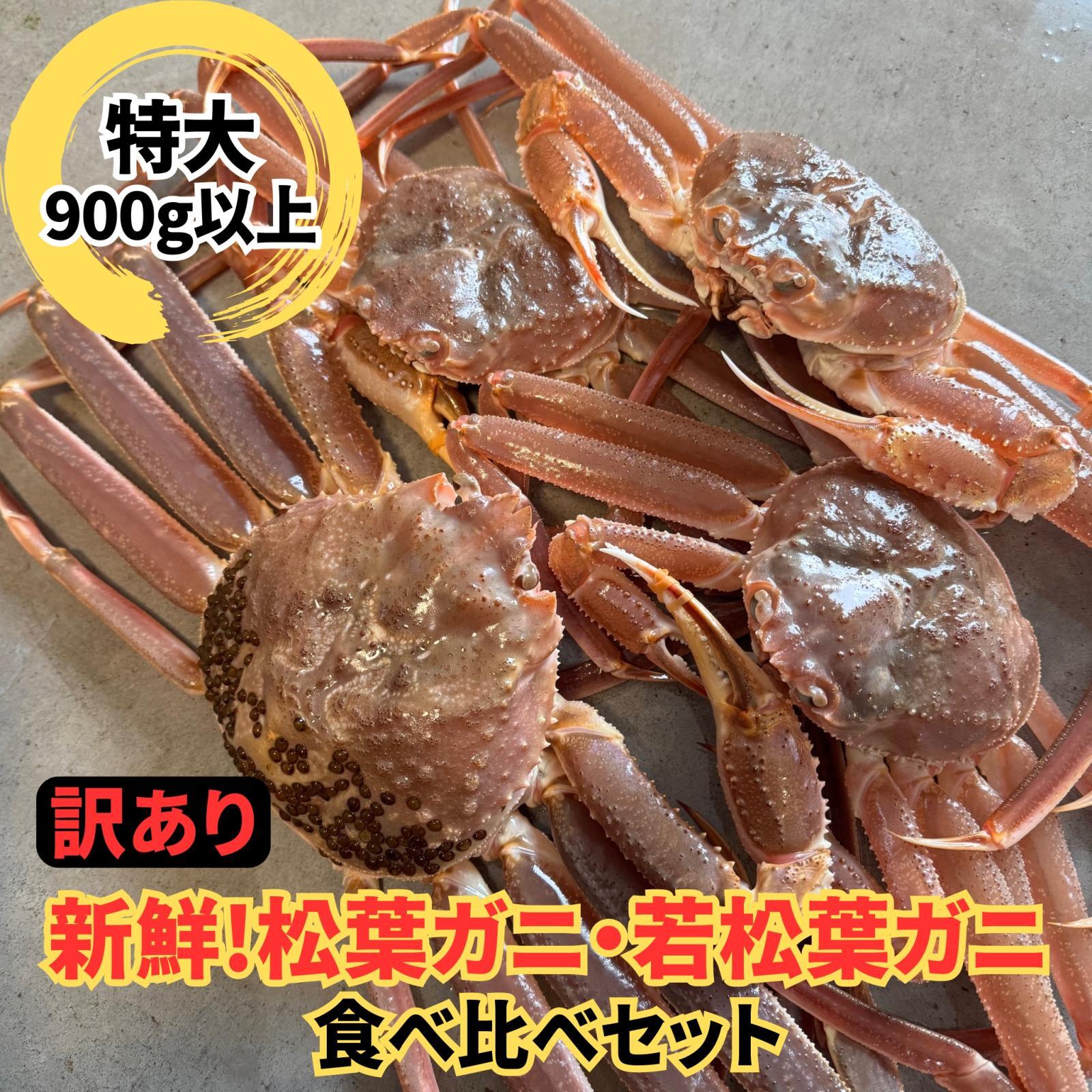 訳あり！松葉ガニ・若松葉ガニセット【松葉ガニ(特大・1枚)＆若松葉ガニ（中・3枚)】