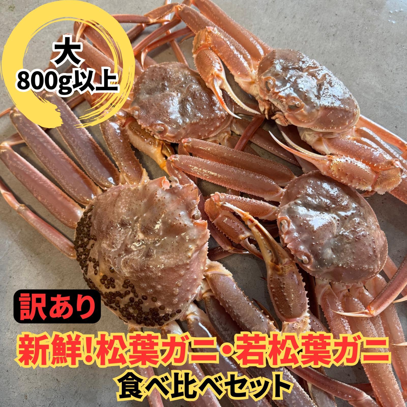 訳あり！松葉ガニ・若松葉ガニセット【松葉ガニ(大・1枚)＆若松葉ガニ（中・3枚)】
