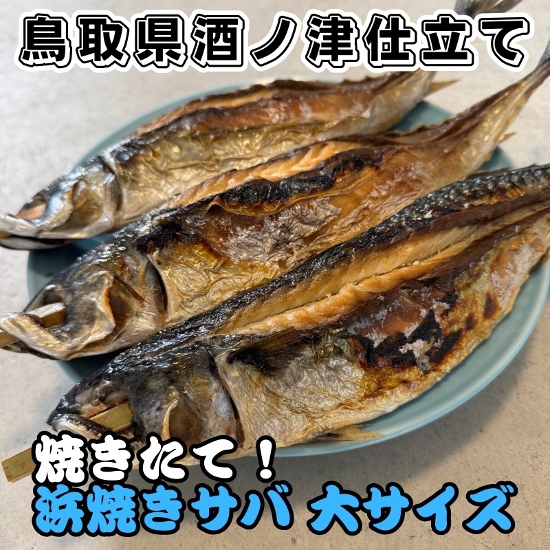 画像1: 焼きたて！浜焼きサバ【大サイズ】3匹 (1)