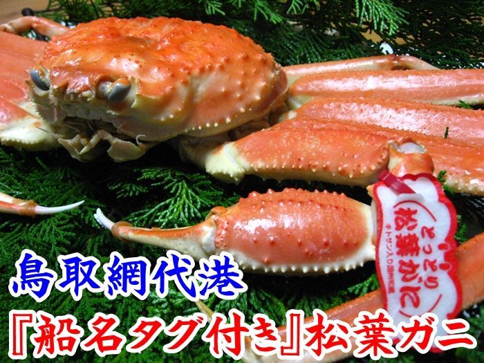 ご贈答用におすすめ最高級松葉ガニ【大】　松葉ガニ通販店！鳥取網代ブランドの最高級松葉ガニ直送『さかなや新鮮組』